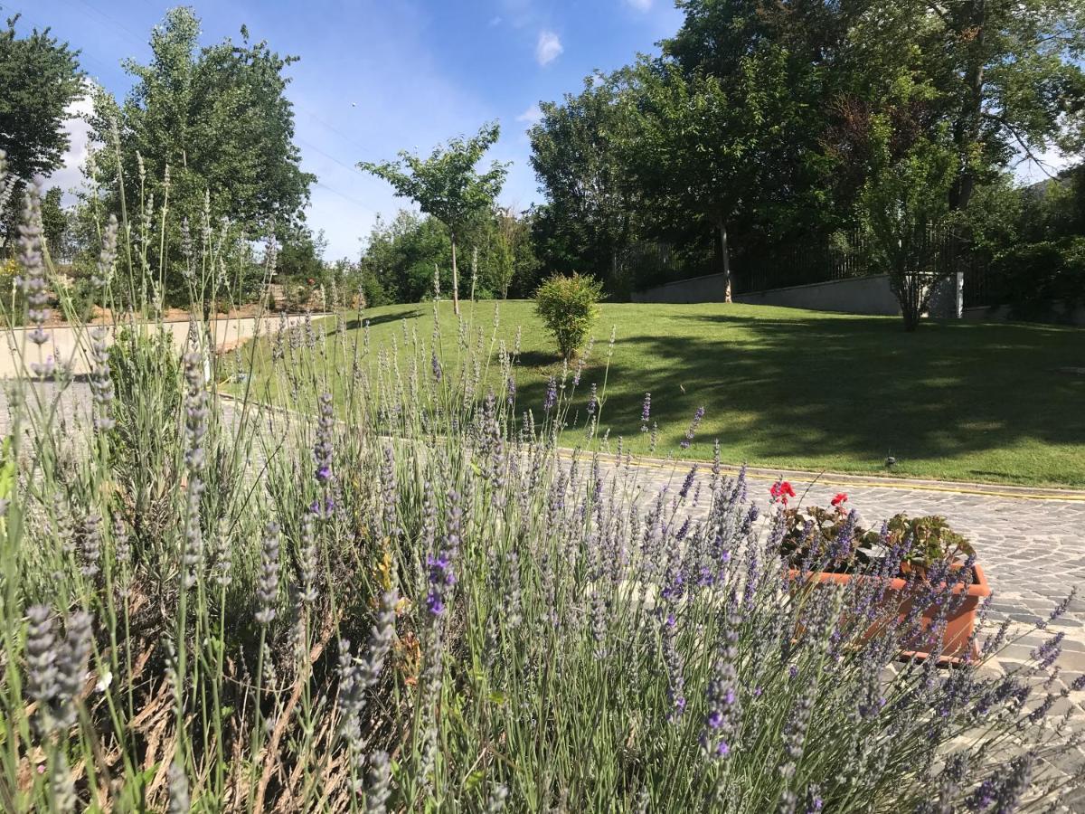 Bed & Breakfast Oasi Vetoio