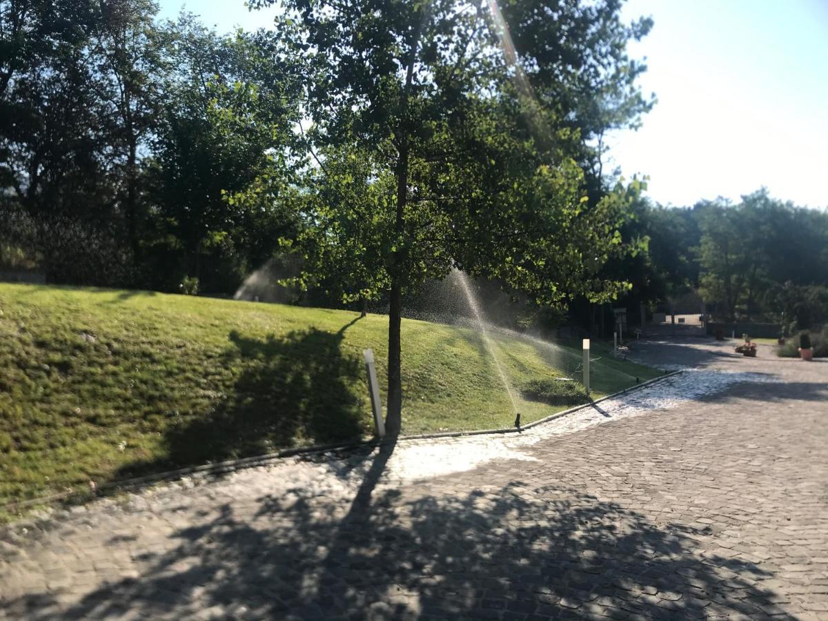 Frühstückspension Oasi Vetoio