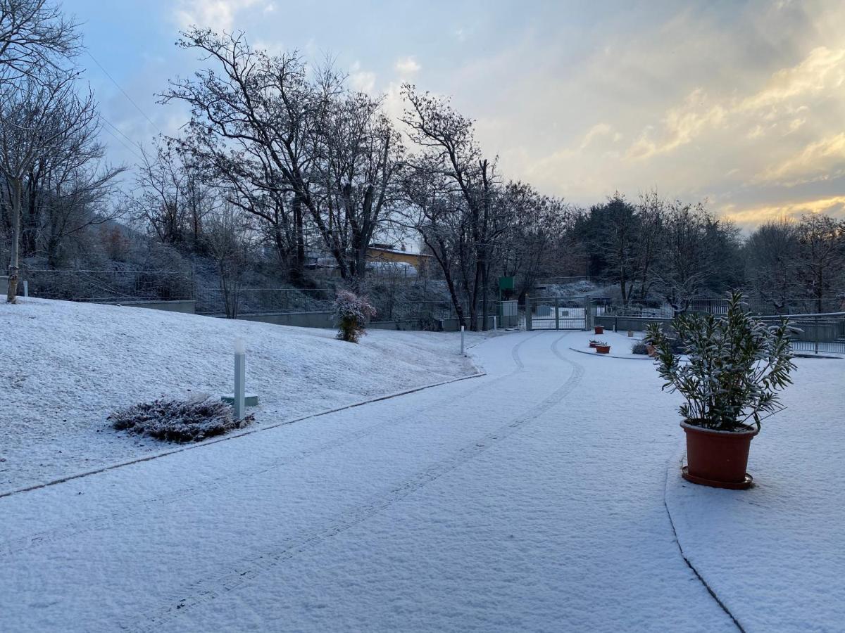 Oasi Vetoio 3*